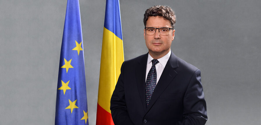 Remus Pricopie: Simona Miculescu, Diplomatul patrimoniului universal