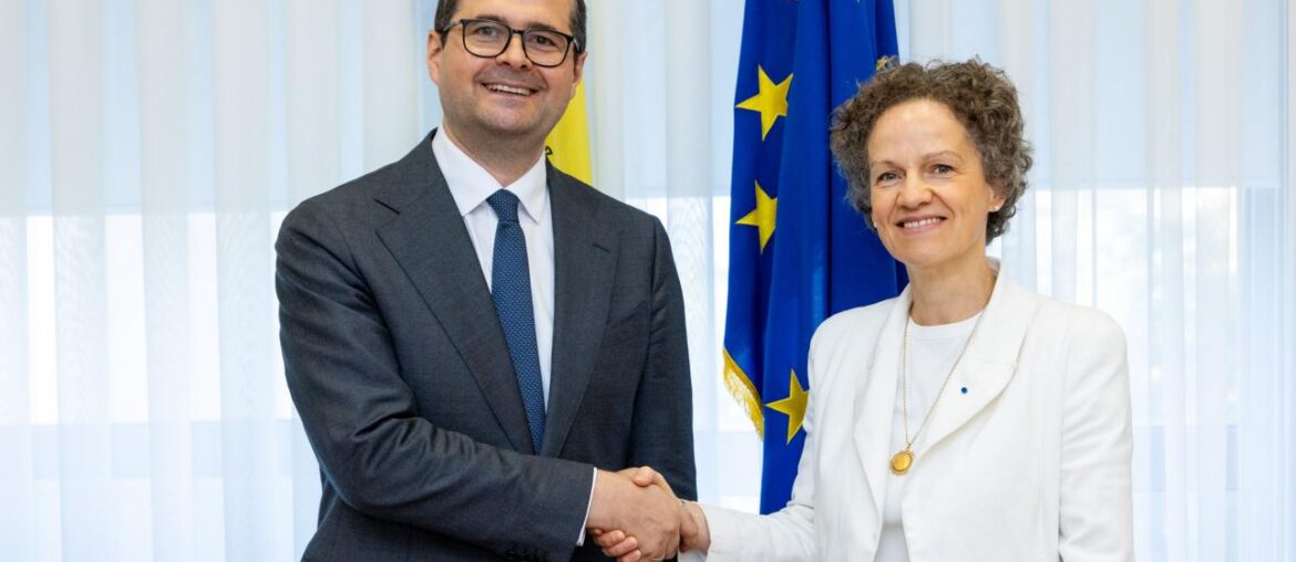 Investițiile franceze, agenda europeană și cooperarea în domeniul securității, discutate de Vasile Tofan cu Ambasadoarea Franței